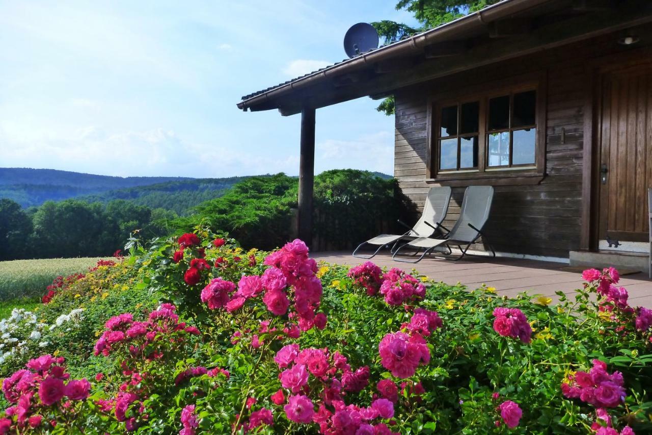 Villa Ellernhof Im Spessart à Stadtprozelten Extérieur photo