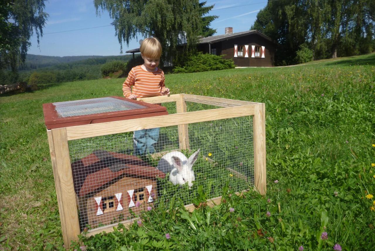 Villa Ellernhof Im Spessart à Stadtprozelten Chambre photo